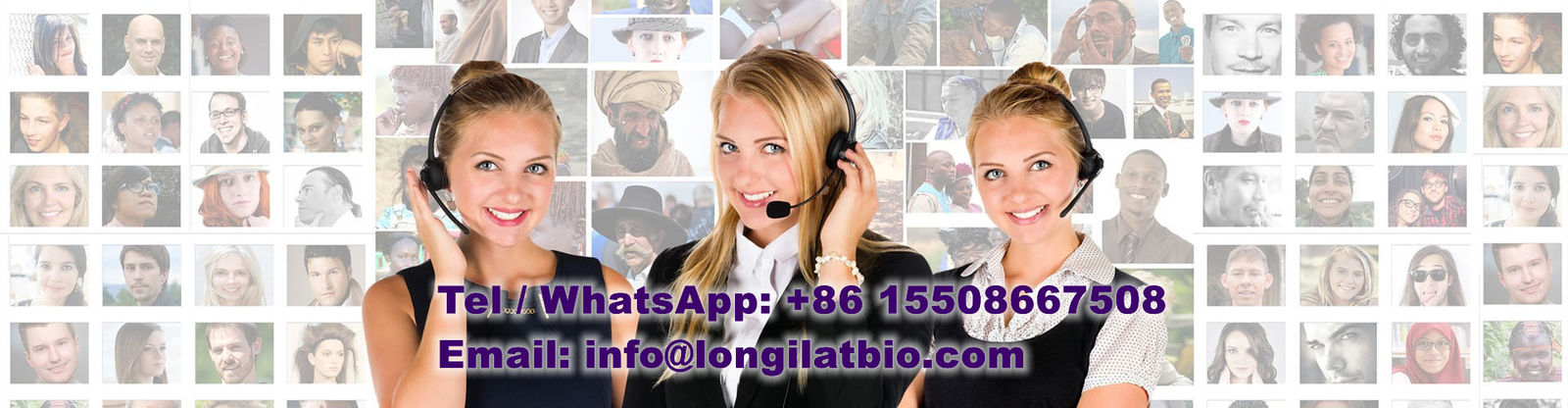 kwaliteit Gs-441524 fabriek