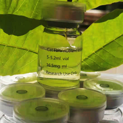 De Behandeling van de de Kattenfip Behandeling 20mg/ML GS FIP van CAS 1191237-69-0