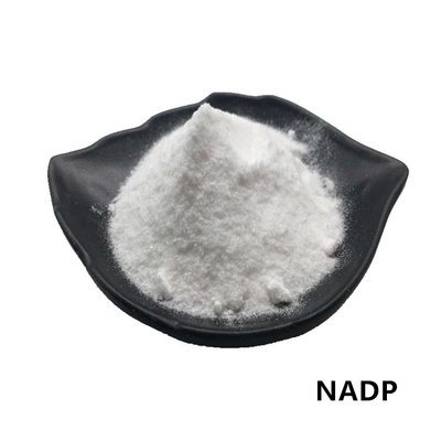 Het Poeder 99% Beta Nicotinamide Adenine Dinucleotide Phosphate van CAS 1184-16-3 NADP