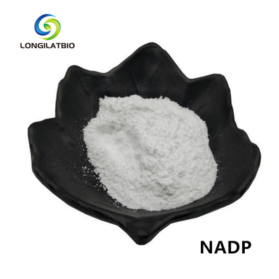 NADPH+ Adenine van poeder bèta-Nicotinamide Dinucleotide Fosfaat